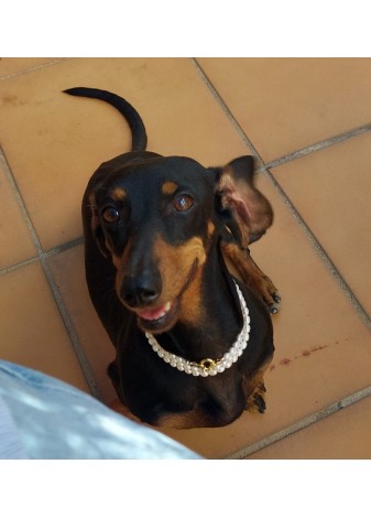Collar de PERLAS PEPA 80cms...