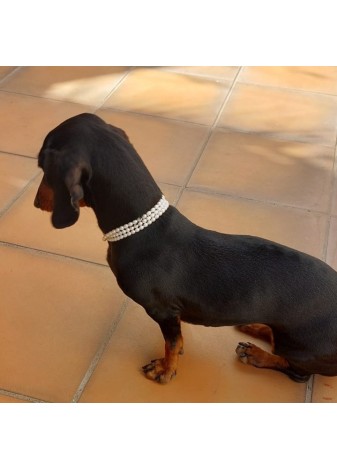 Collar de PERLAS PEPA 80cms Gold