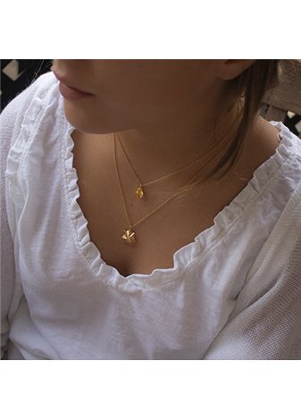 Colgante y cadena en plata Gold Citr KILI